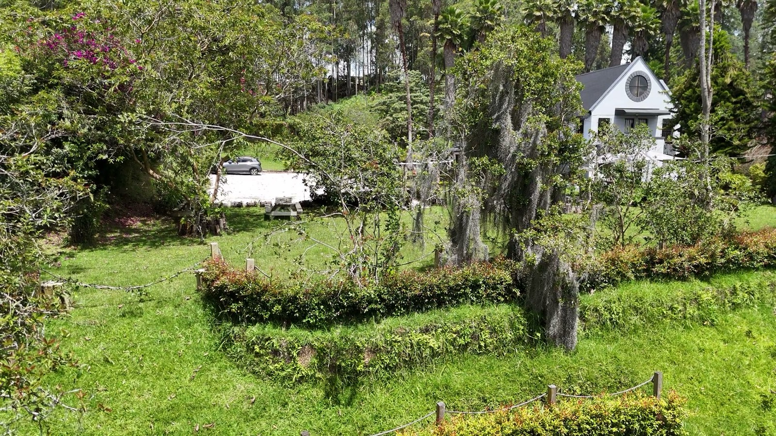 Video aéreo de los jardines y el bosque de la finca