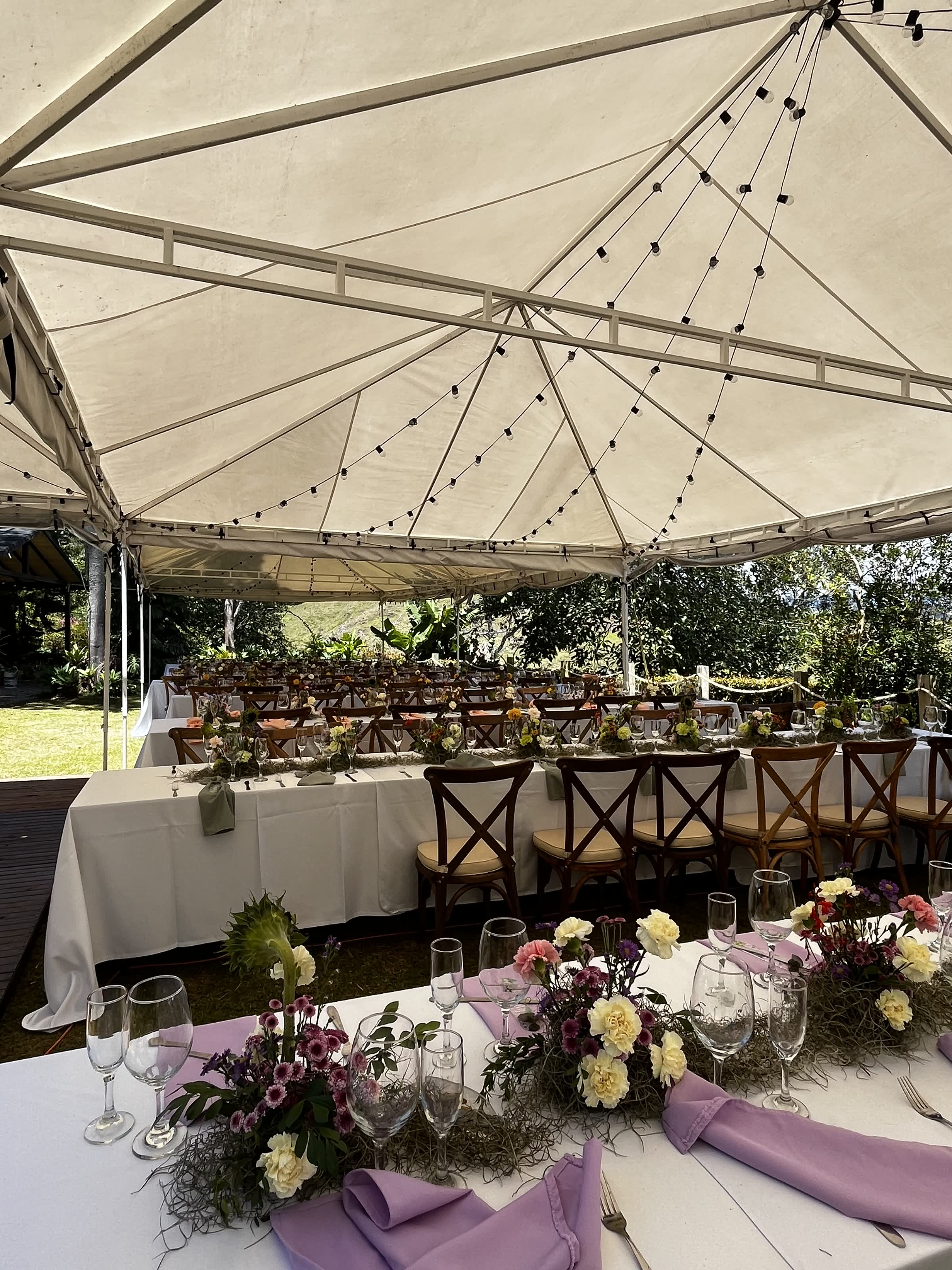 Mesa larga de banquete bajo carpa con luces y flores