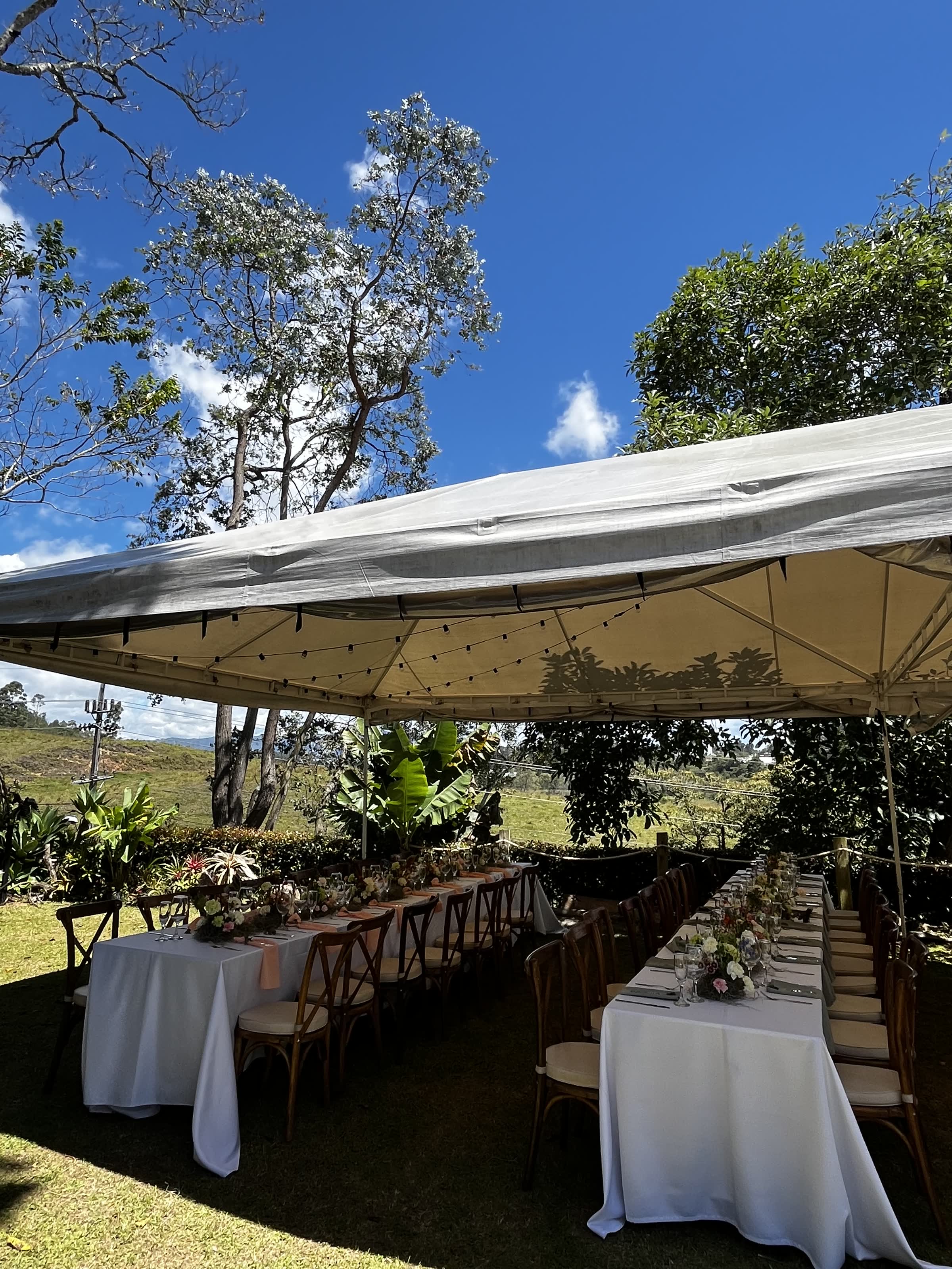 Carpa blanca entre los árboles del jardín