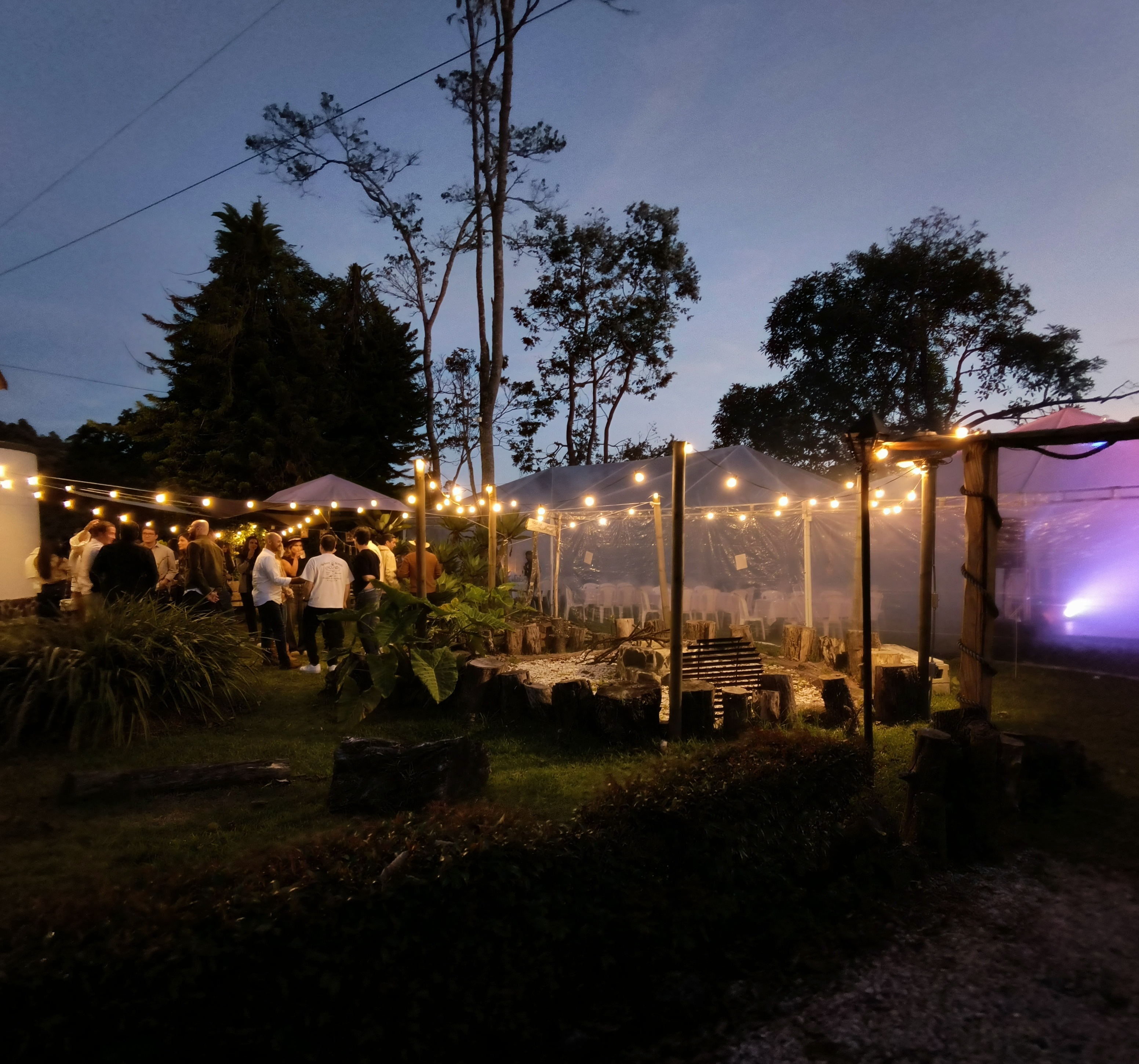 Fiesta al aire libre en la noche con invitados