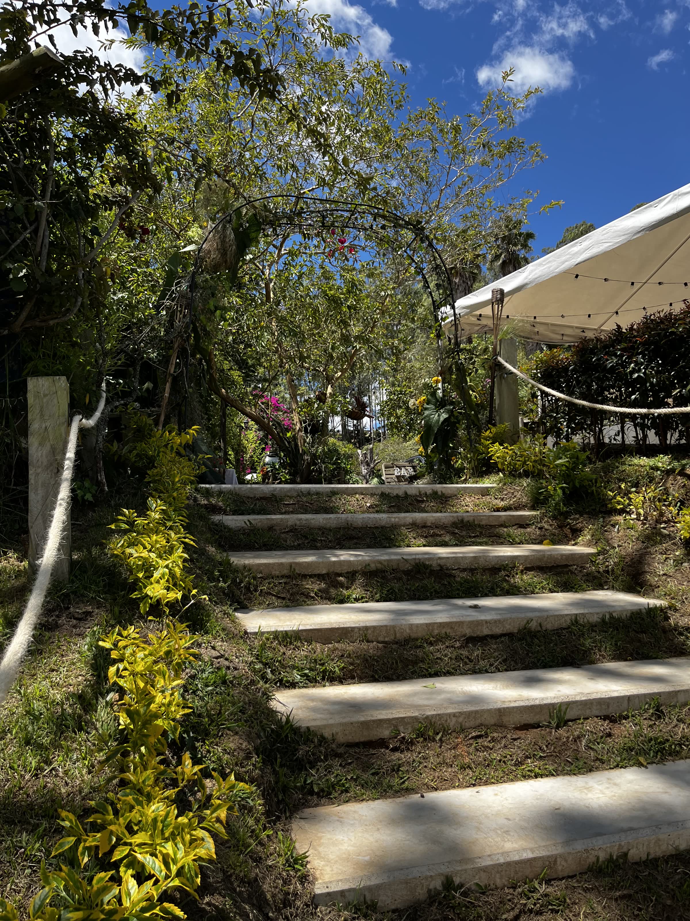 Escalinata de piedra entre los jardines